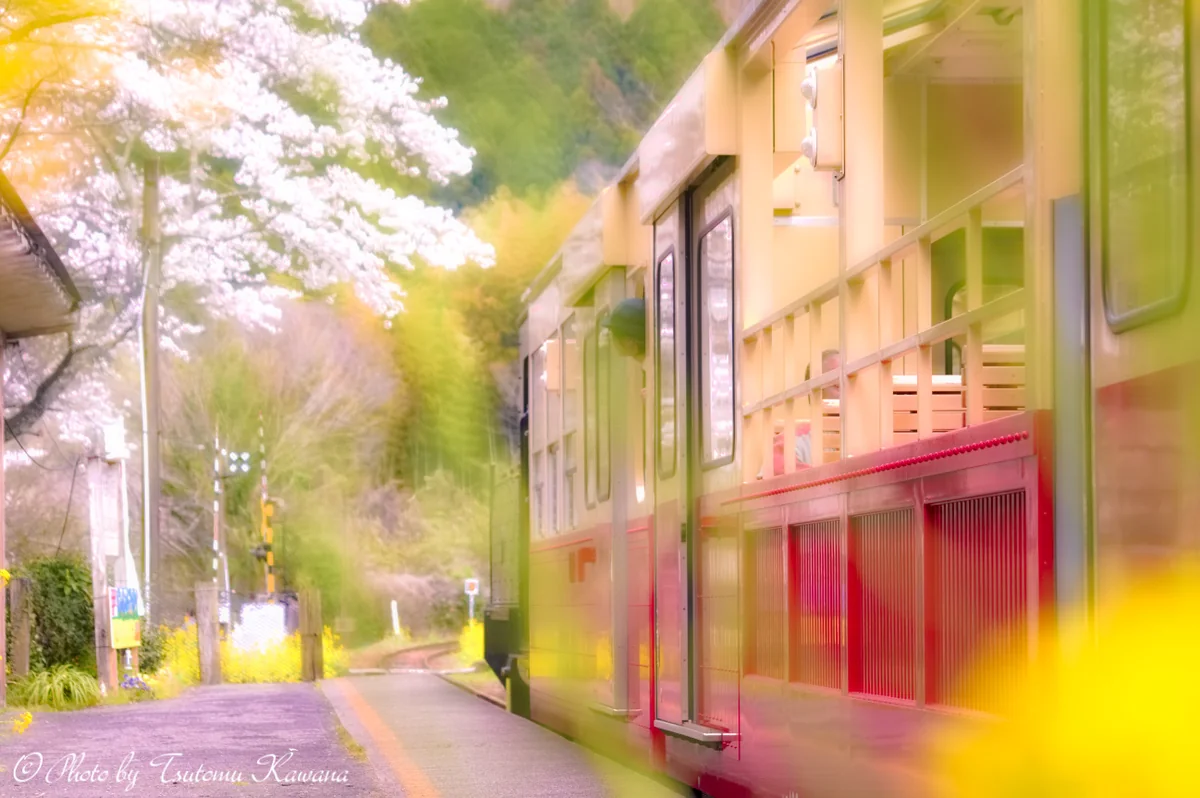 投稿写真：春色に包まれた停車時間♪