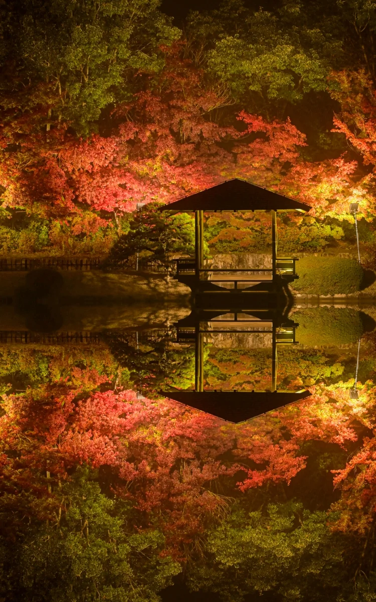 投稿写真：秋のリフレクション