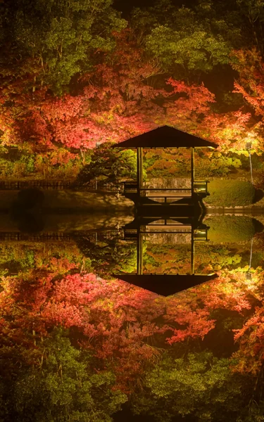 投稿：秋のリフレクション