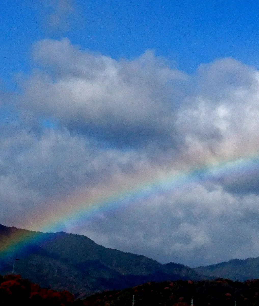 投稿写真：冷たい雨が降って、虹♥️