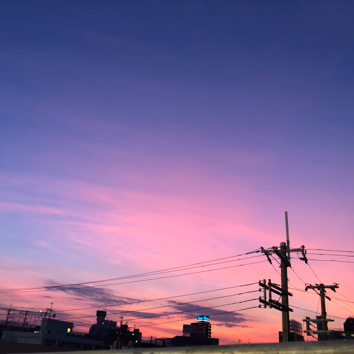 投稿写真：ピンクの夕焼け
