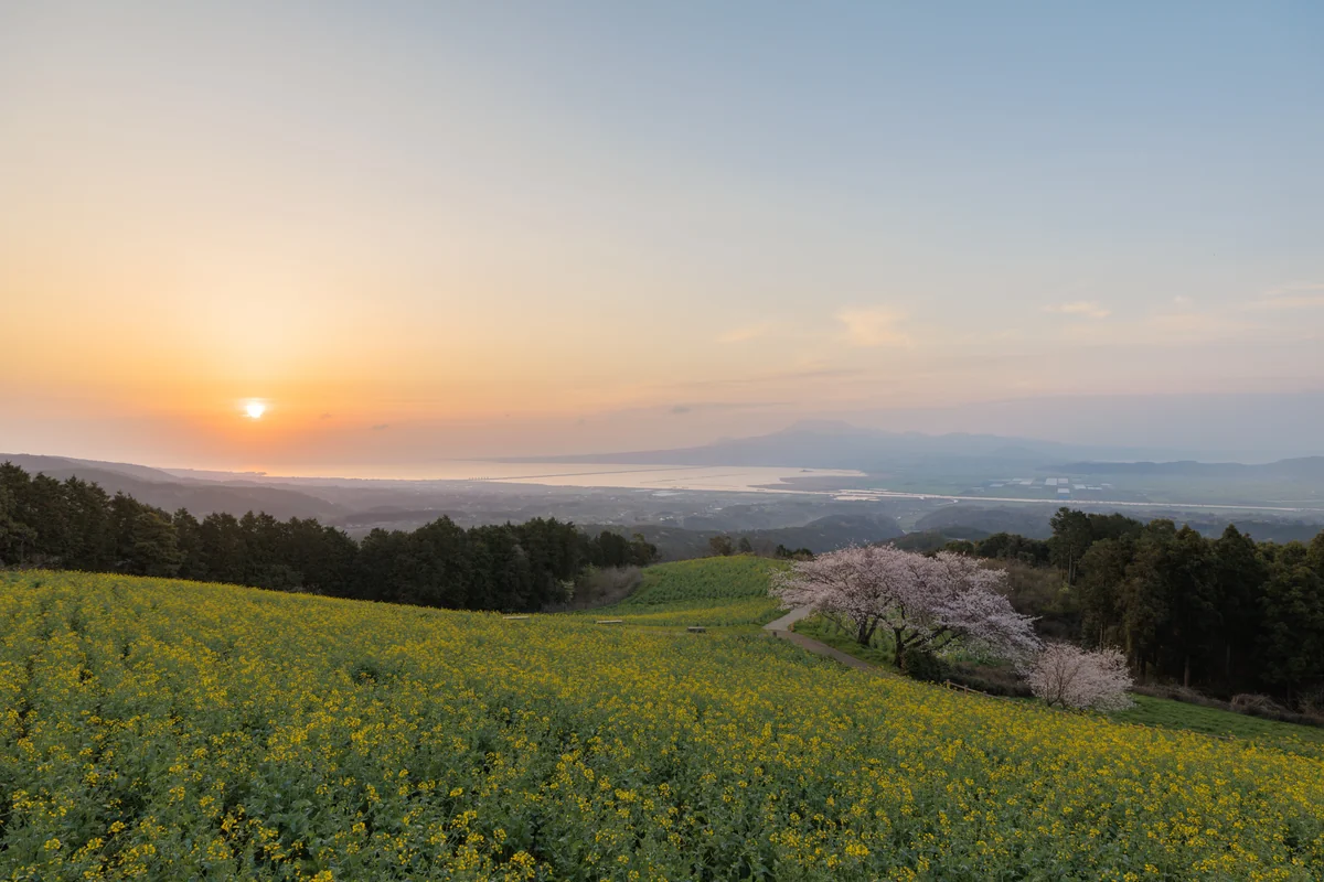 投稿写真：高原の夜明け