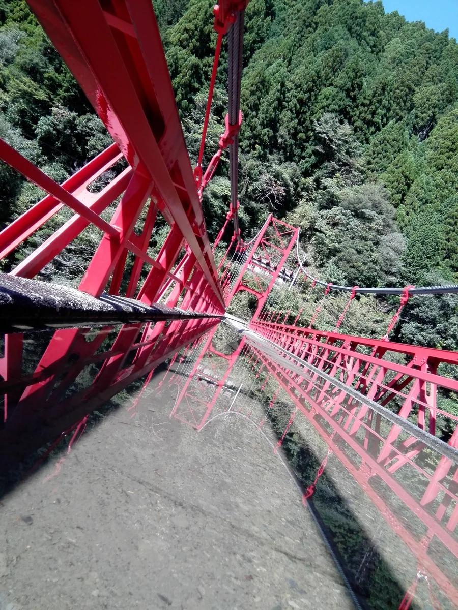 投稿写真：高知県　馬路