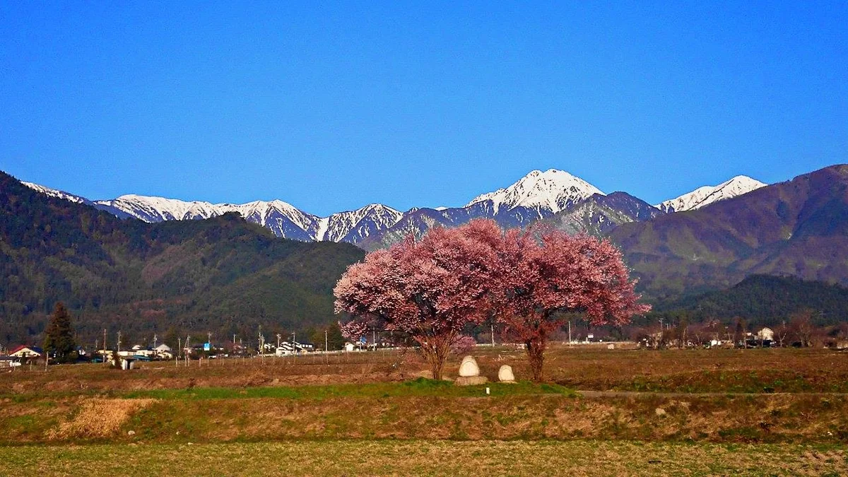 投稿写真：常念道祖神