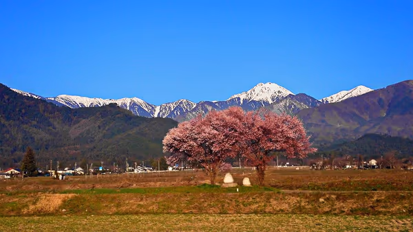 投稿：常念道祖神