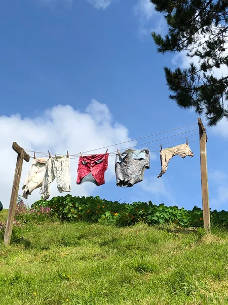 投稿：ホビット村