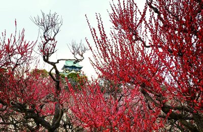  | 絶景事典