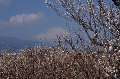  | 絶景事典