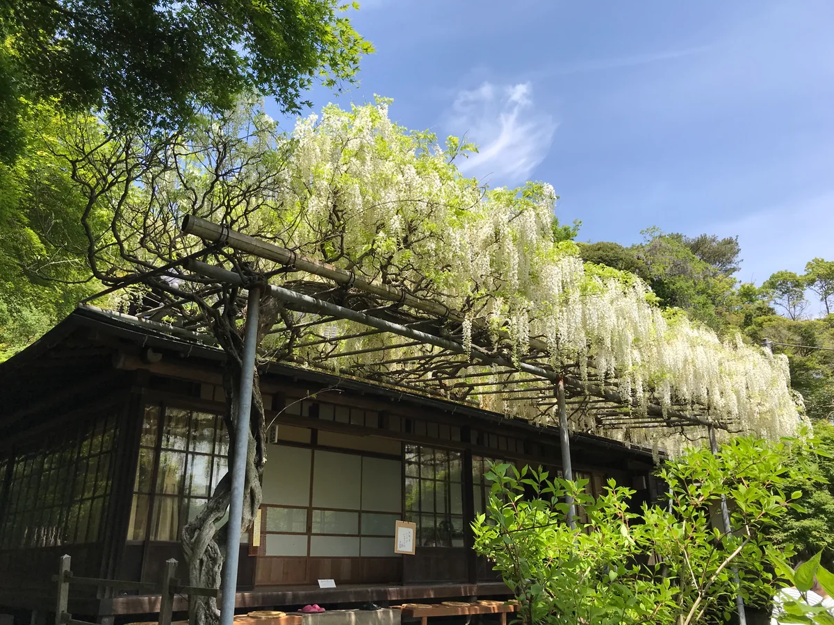 投稿写真：英勝寺にて