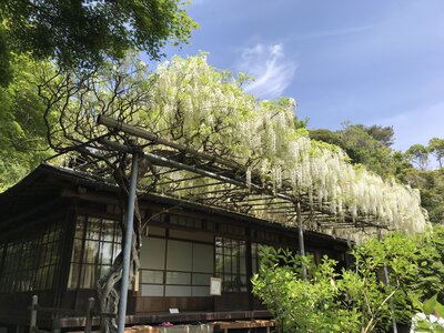  | 絶景事典