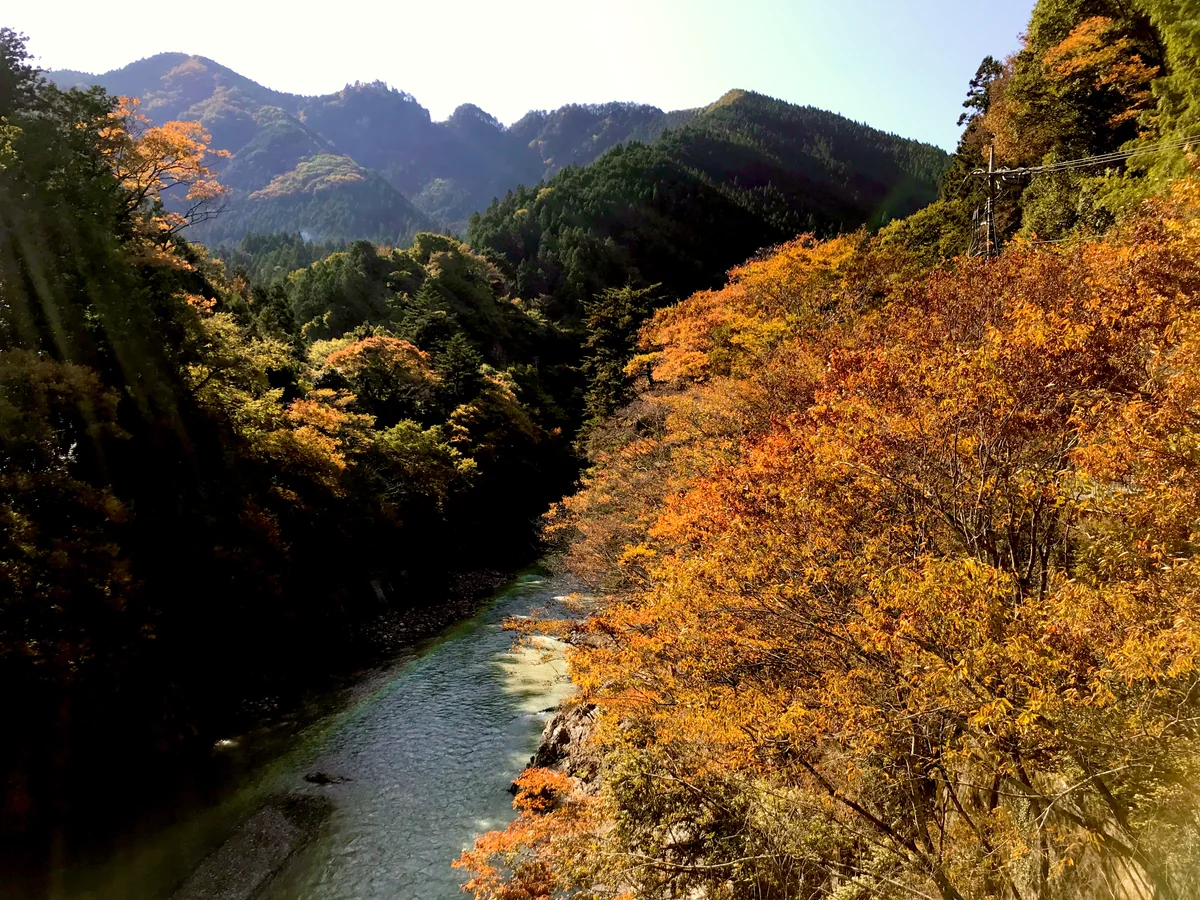 投稿写真：奥多摩の風景
