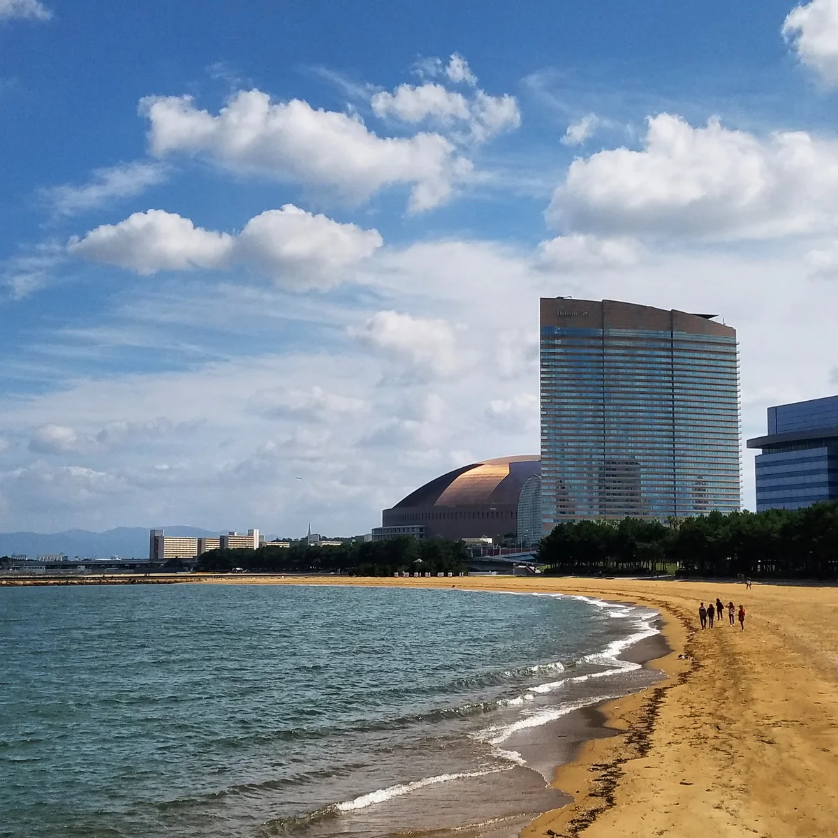 投稿写真：百道浜