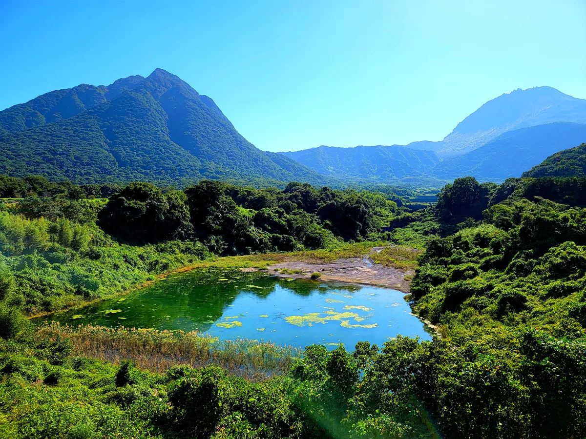 投稿写真：普賢岳