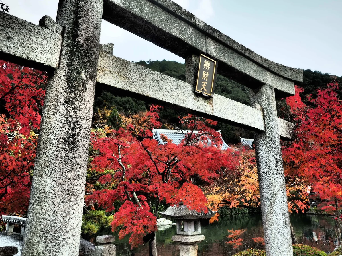 投稿写真：永観堂紅葉