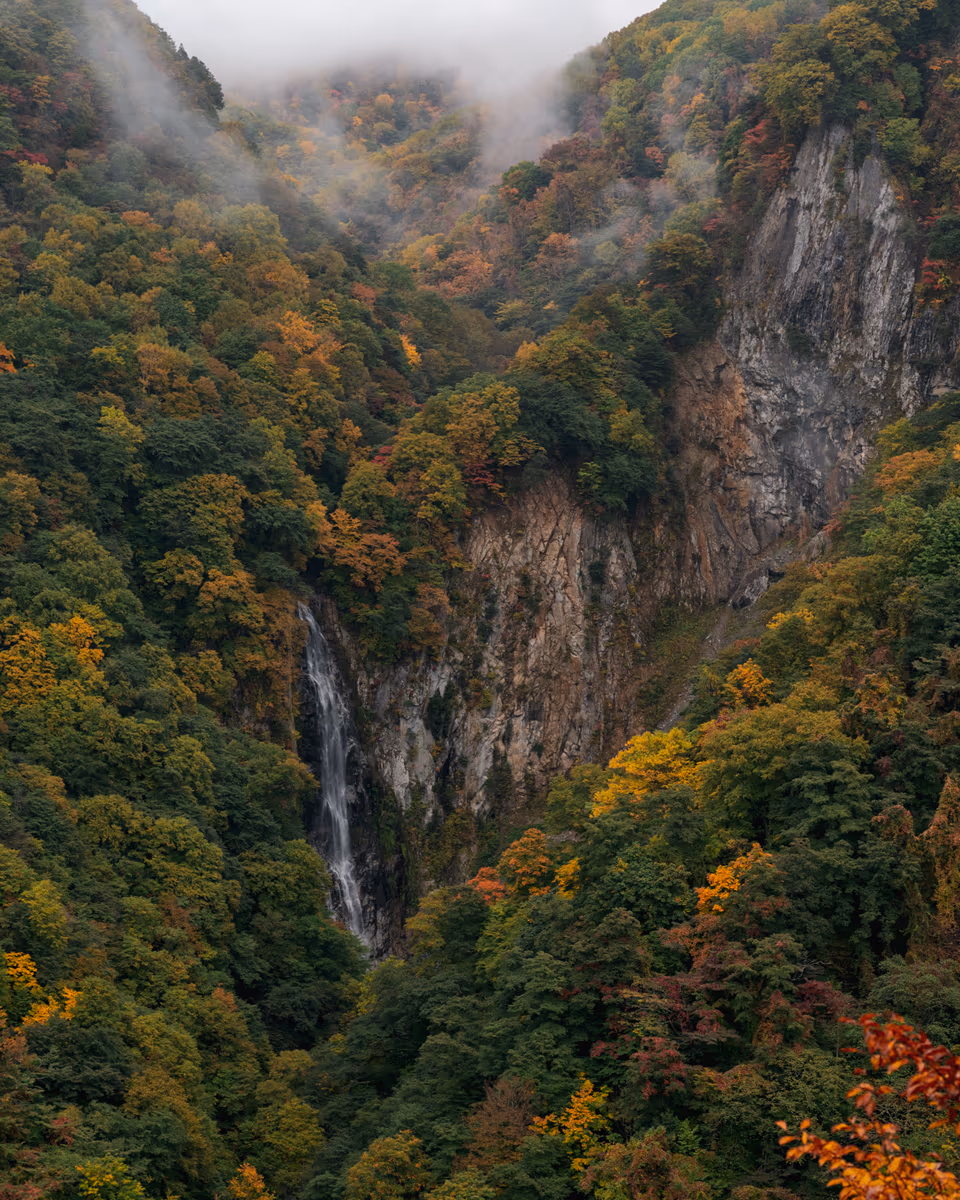投稿写真：滝と紅葉