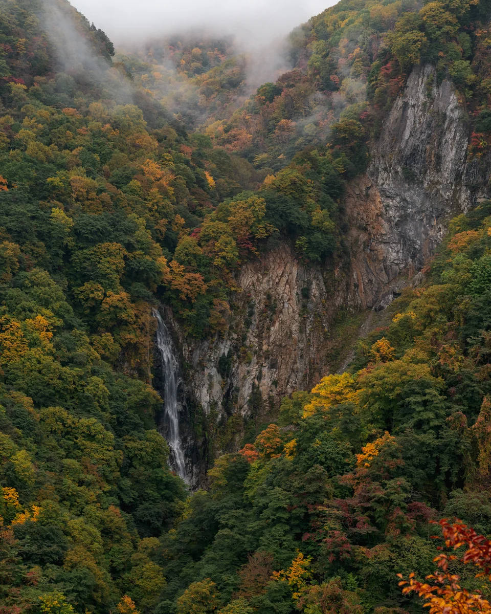 投稿写真：滝と紅葉