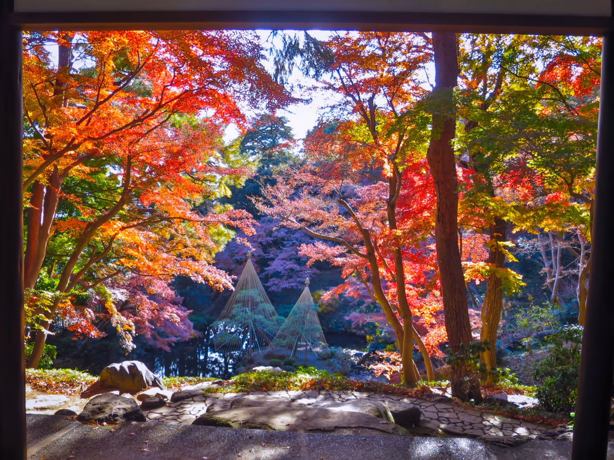 投稿写真：額縁紅葉