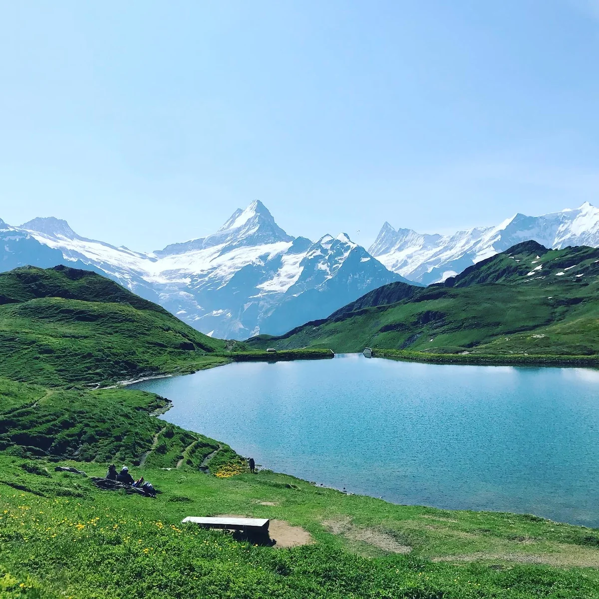 投稿写真：Bachalpsee