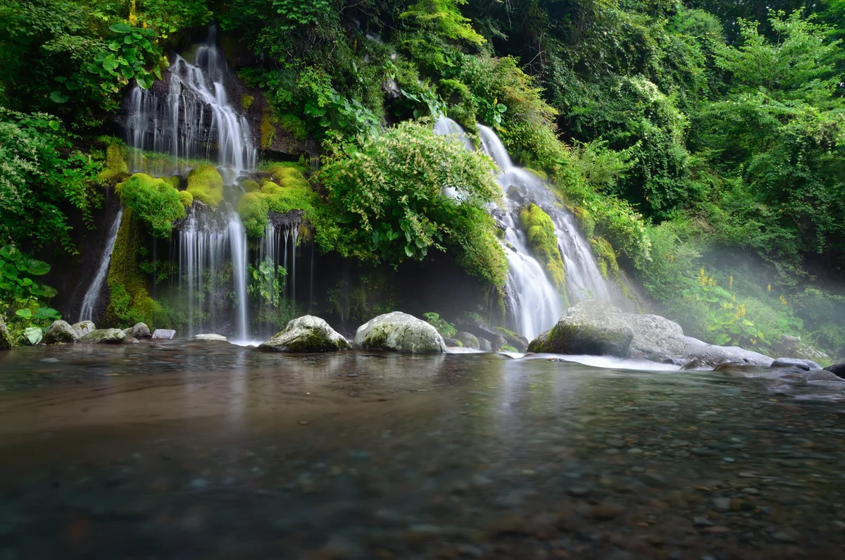 投稿写真：夏の吐竜の滝