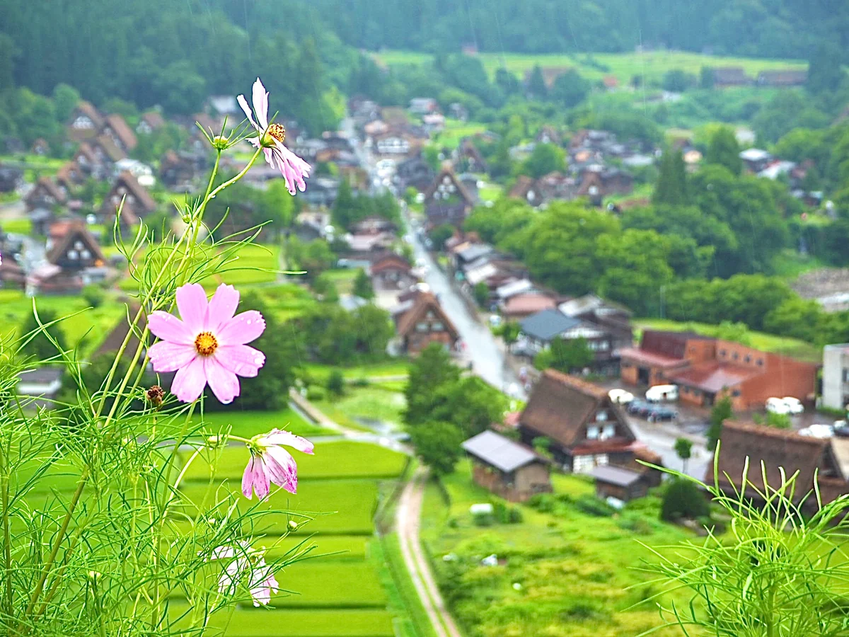 投稿写真：白川郷