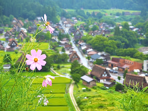 投稿：白川郷