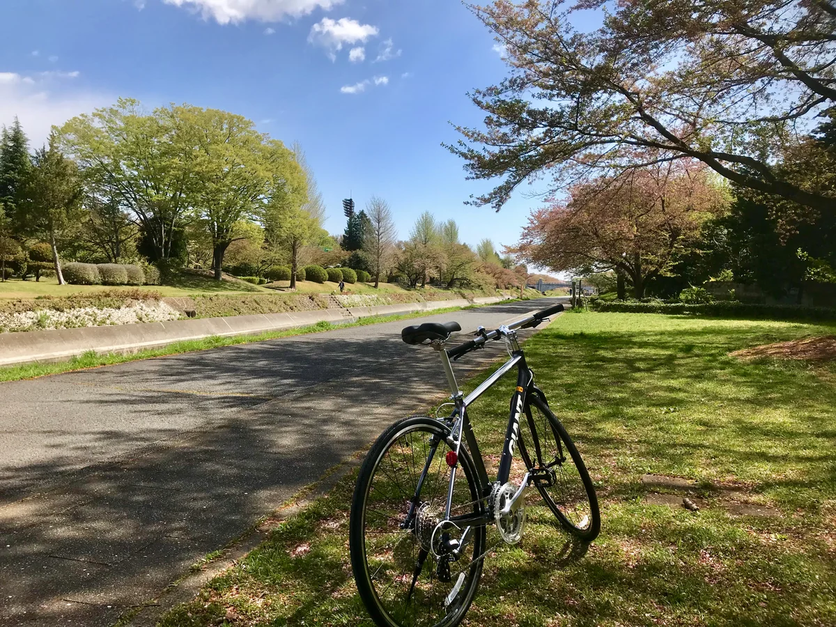 投稿写真：浅川