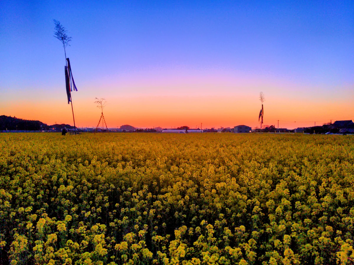 skydanceさんの投稿写真