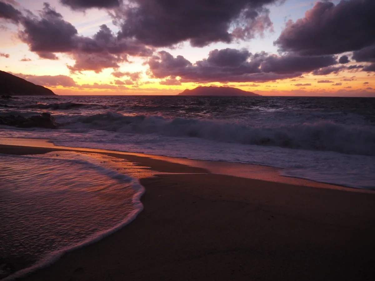 投稿写真：ムーミン