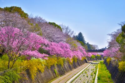  | 絶景事典