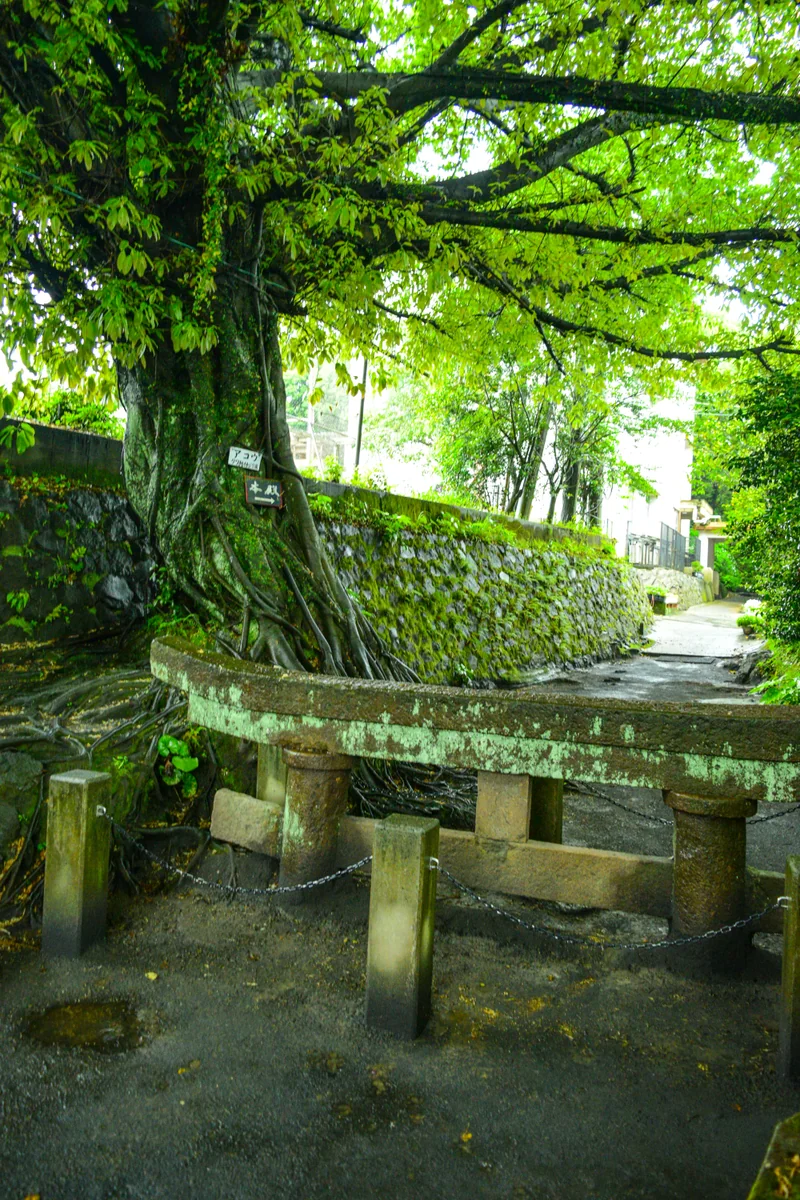 投稿写真：埋没鳥居