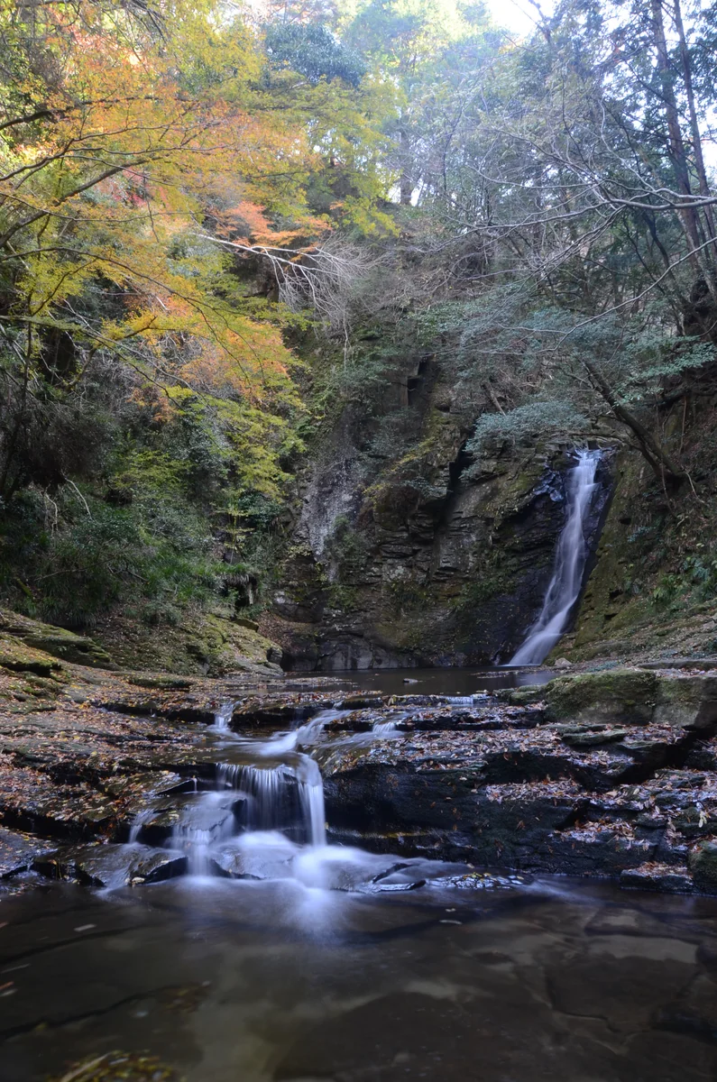 投稿写真：赤目四十八滝　秋の琵琶滝