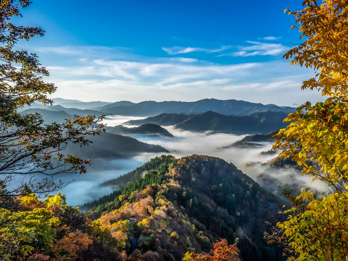 投稿写真：晩秋小入谷の雲海と紅葉２０２１
