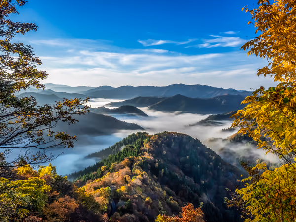 投稿：晩秋小入谷の雲海と紅葉２０２１