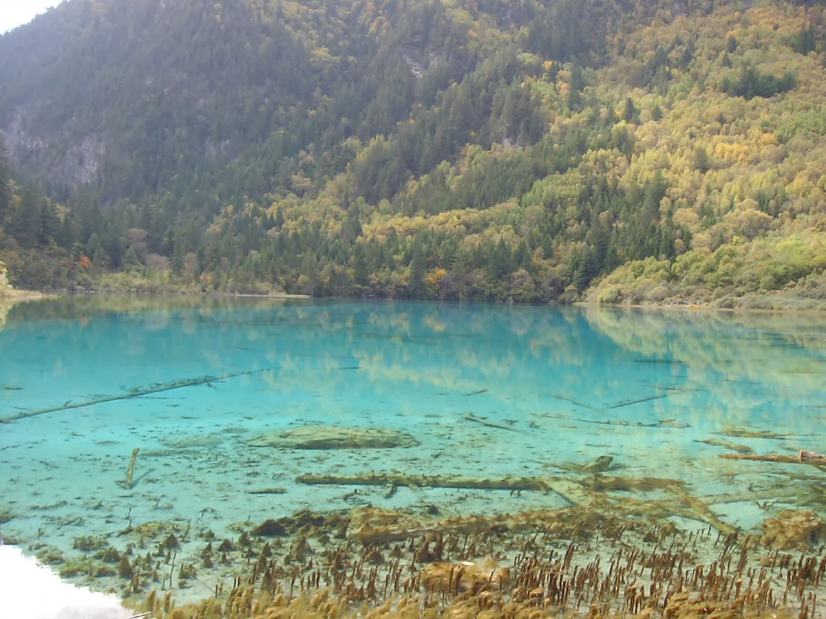 投稿写真：清らかな湖