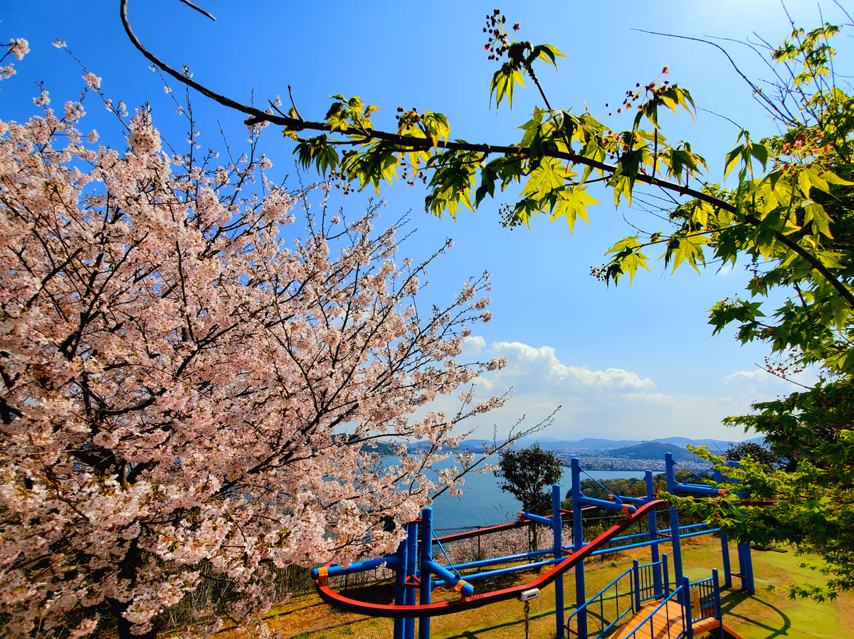 投稿写真：のぞみ公園