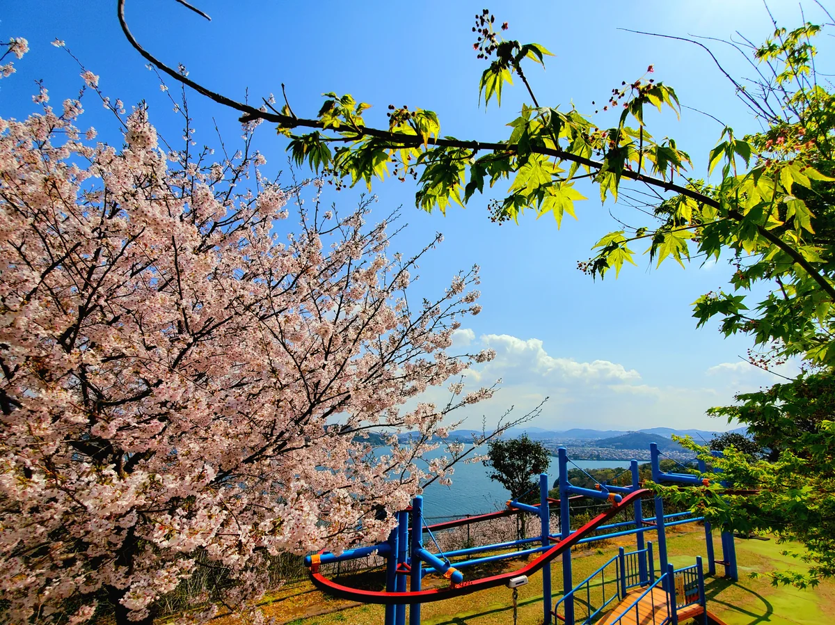 投稿写真：のぞみ公園