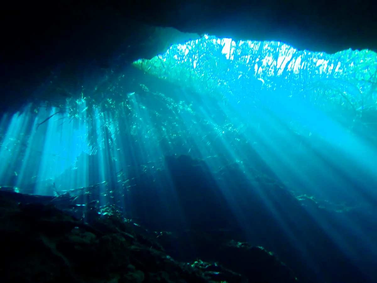 投稿写真：セノーテ・エデン