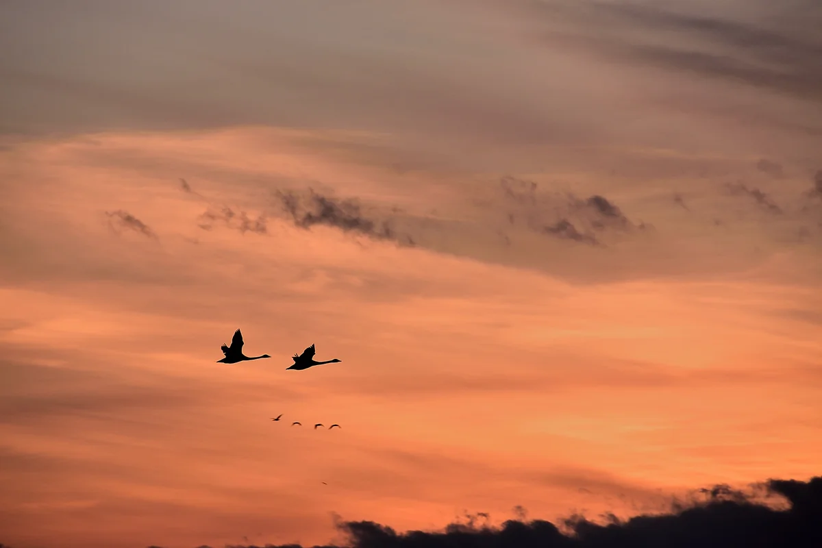 投稿写真：季翔