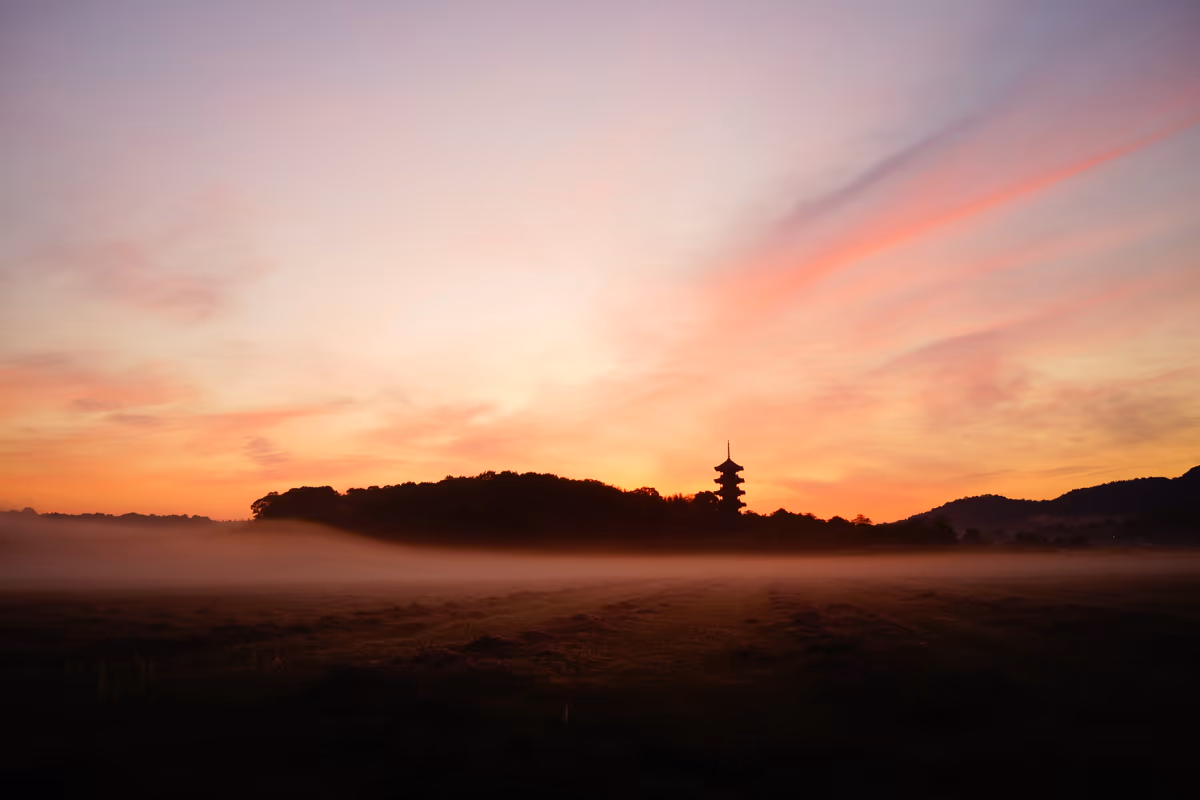 投稿写真：朝霧の朝焼け
