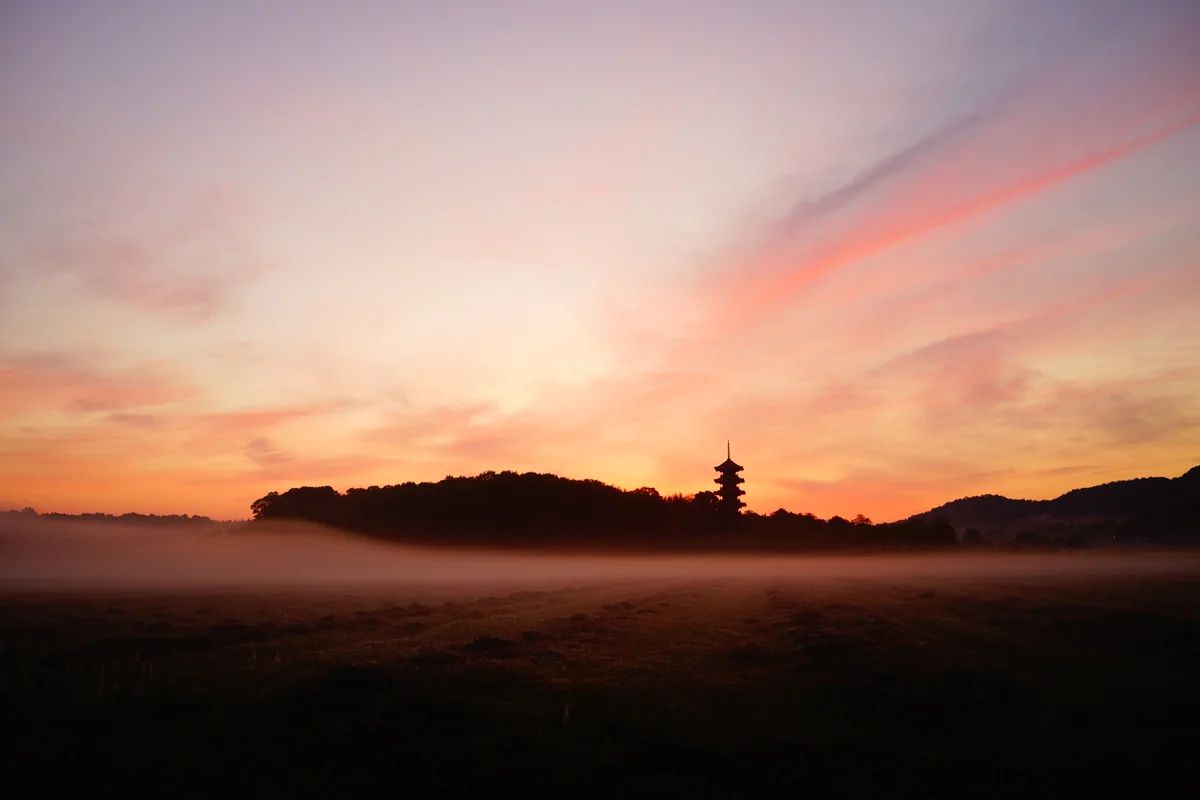 投稿写真：朝霧の朝焼け