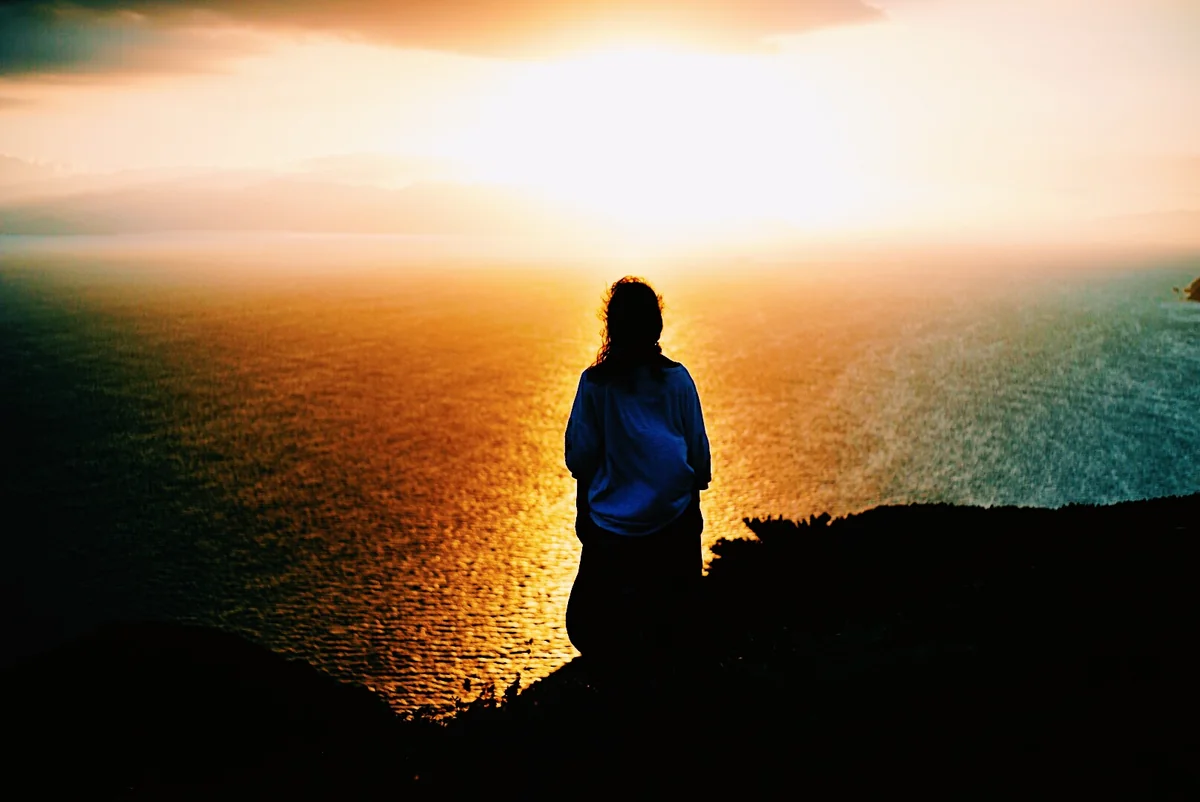 投稿写真：定め。