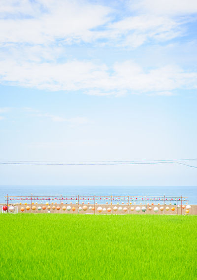  | 絶景事典