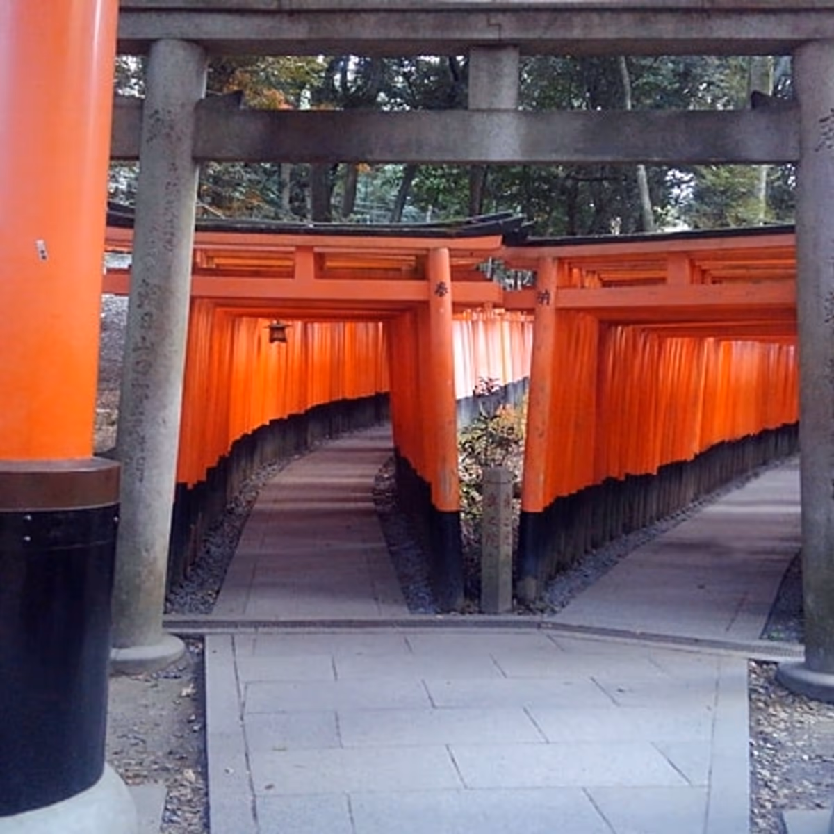 投稿写真：別れ筋