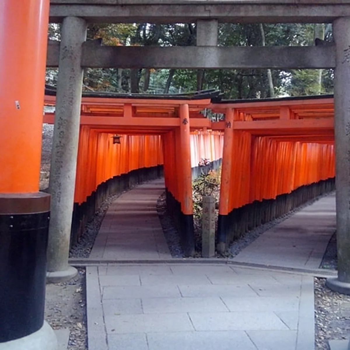 投稿写真：別れ筋