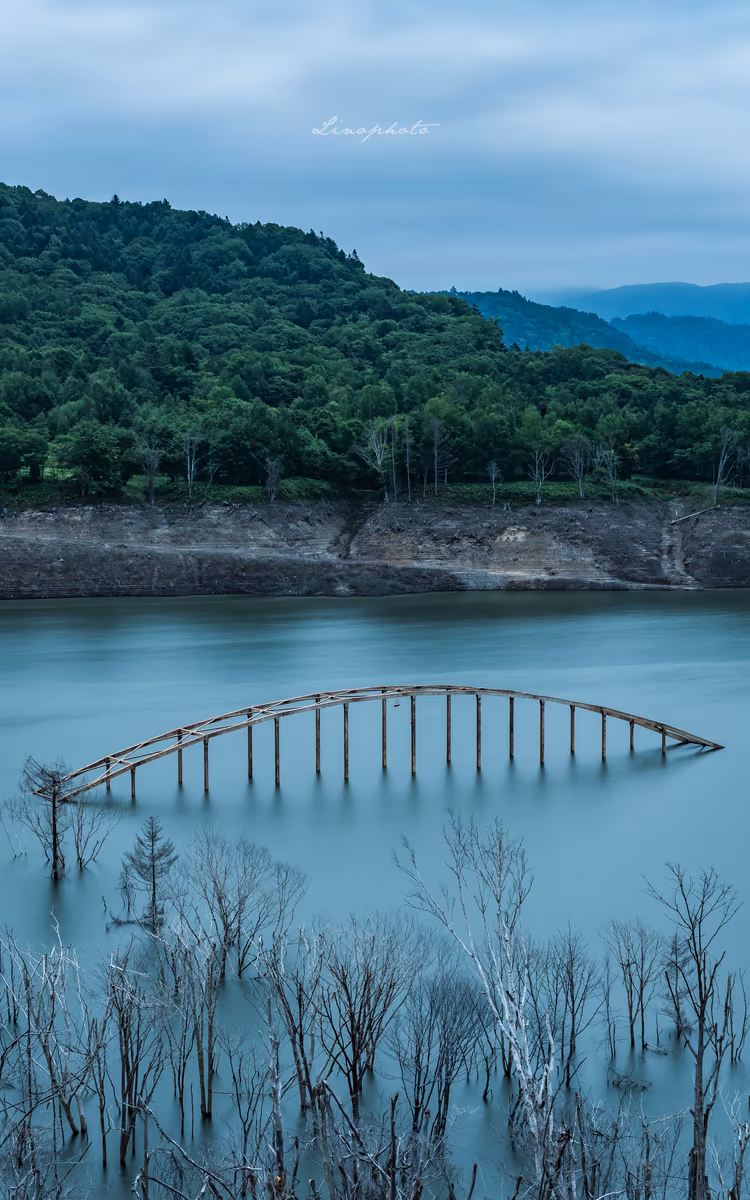 投稿写真：沈んだ場所