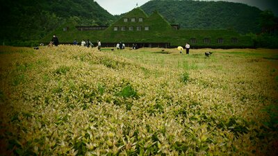  | 絶景事典