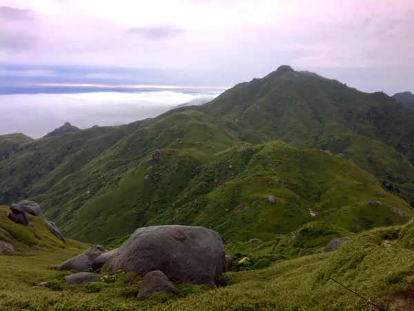 投稿：屋久島の秘境