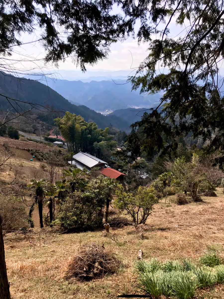 投稿写真：顔振峠からの風景