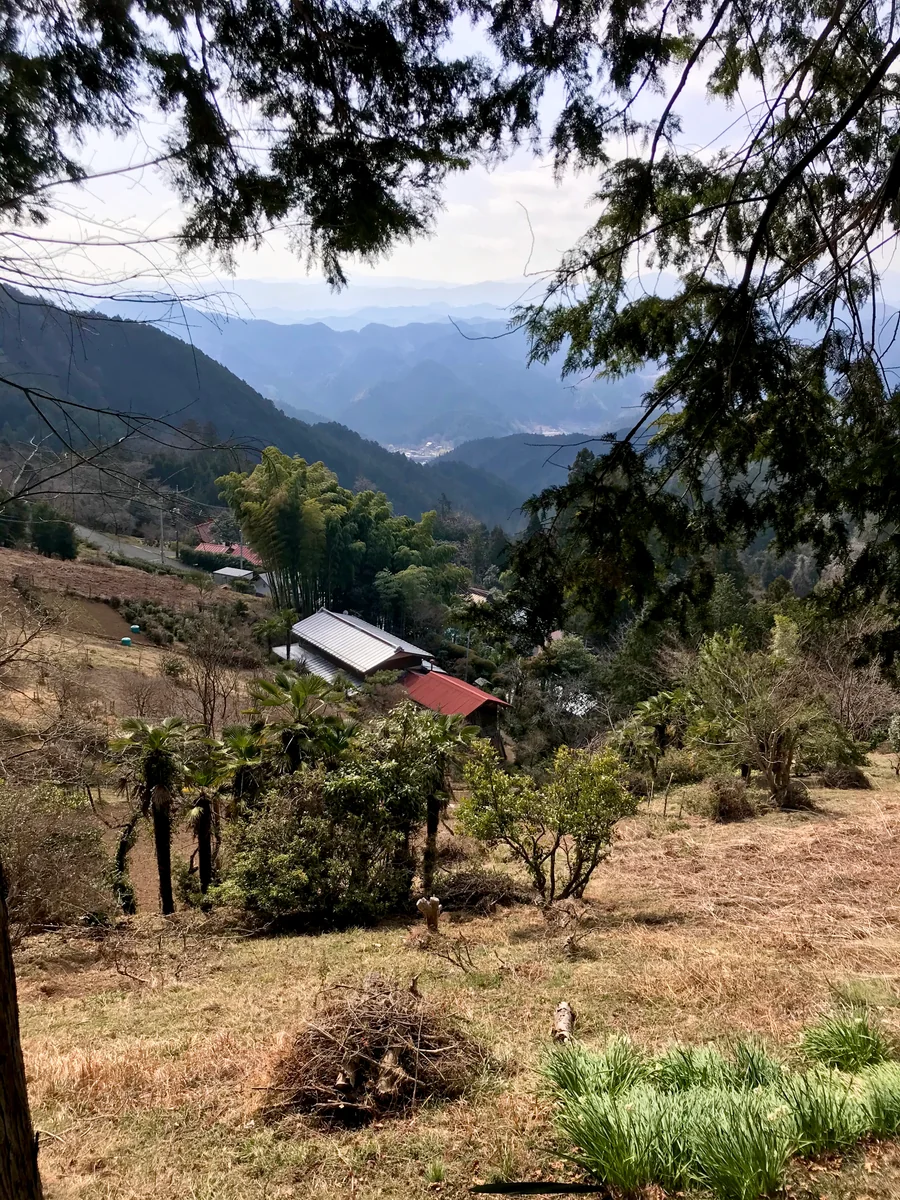 投稿写真：顔振峠からの風景
