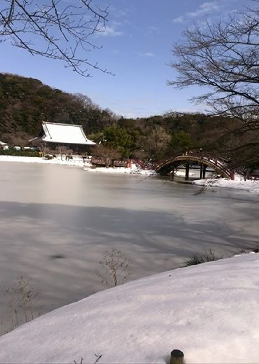 投稿写真：称名寺　雪景色